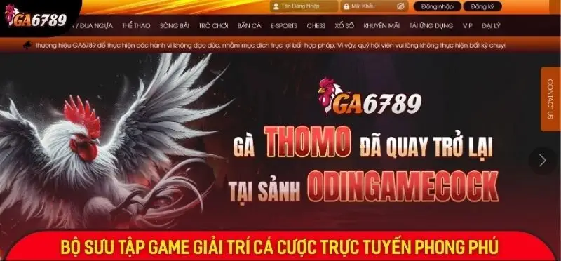 Ga6789 ⭐️ Link Đá Gà 6789 Trực Tiếp Full HD Tại Việt Nam 23 Link ga6789 chính thức